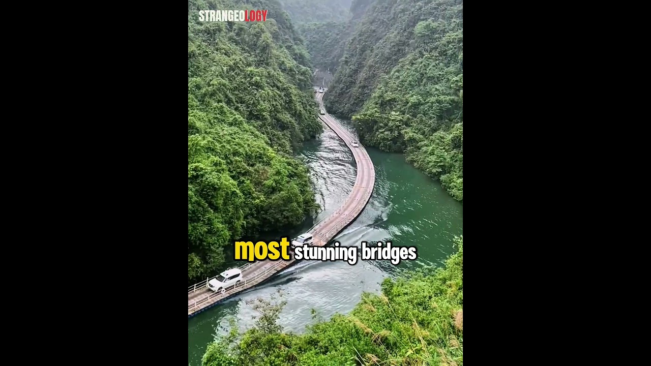 Dare to Drive on This Floating Bridge?