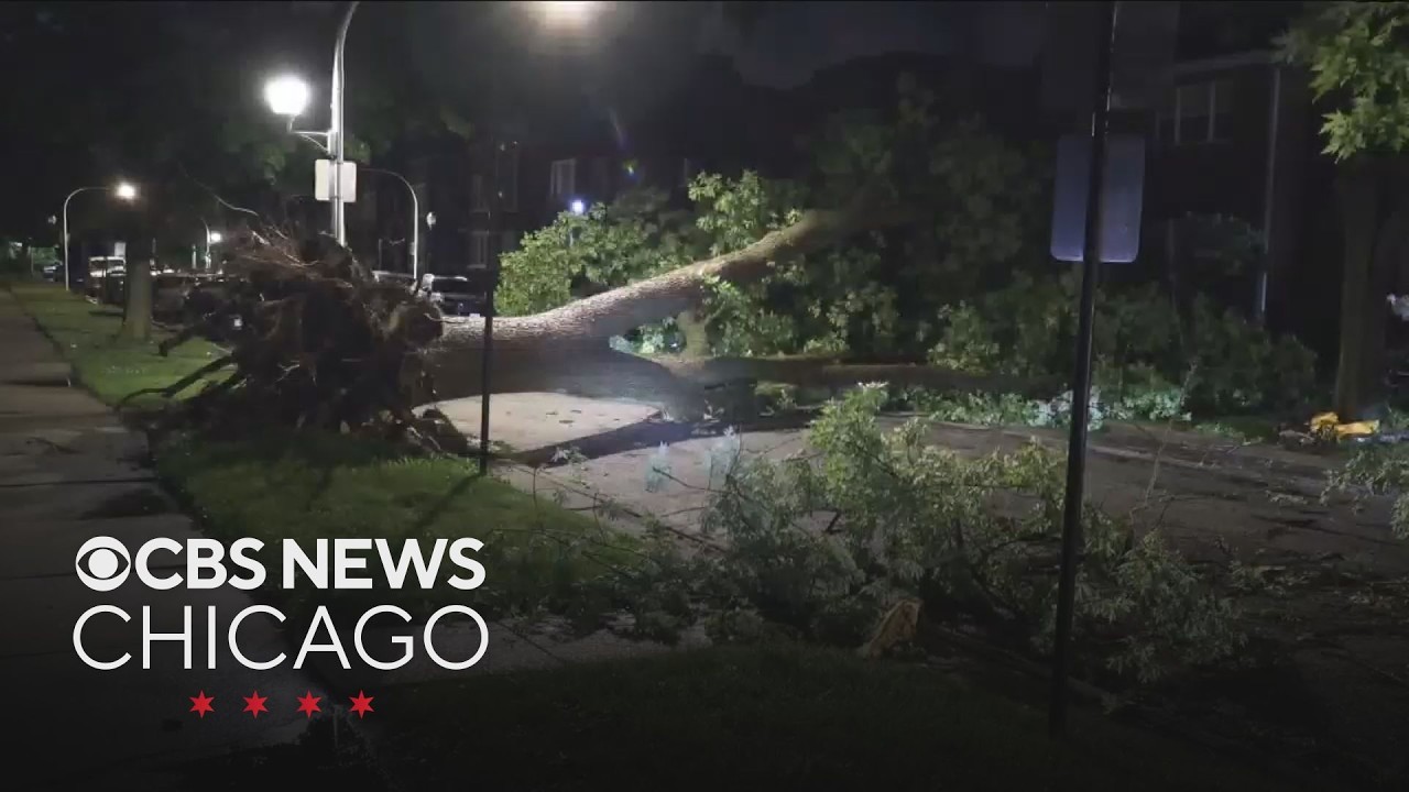 Storms scatter damage around Chicago, suburbs after severe weather outbreak