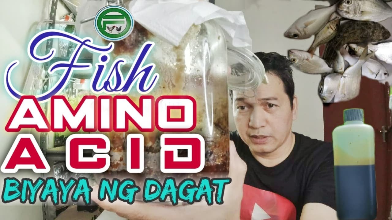 How to make Fish Amino Acid
