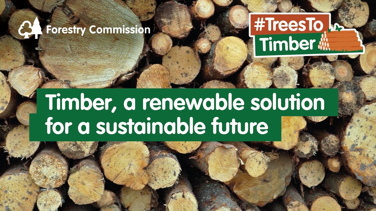 Trees to Timber: commercial forestry in the UK