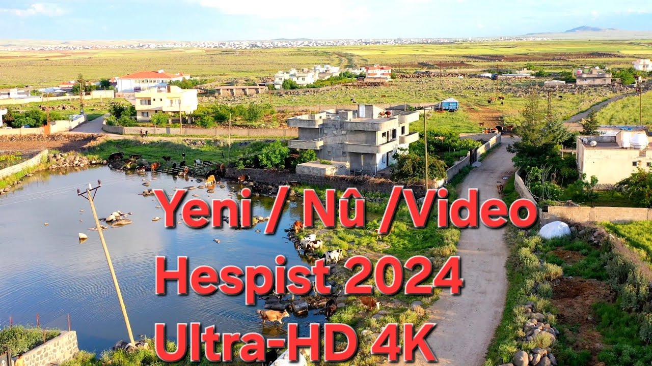 Yarbaşi k&ouml;y İdil-Hezex ( H&ecirc;spist ) 2024 Gul&acirc;n