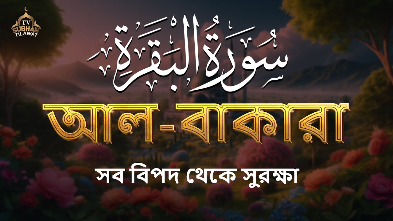 Surah Al-Baqarah 🌙 পূর্ণ তিলাওয়াত | হৃদয় ছুঁয়ে যাবে, শান্তি ও বরকতের উৎস 🌿 | Subhan Tilawat TV