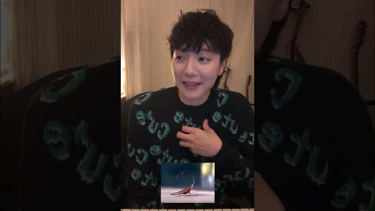 [디어클라우드/ 나인] ??? :  구름들이 바퀴벌레가 된다면 어떻게 할거에요?