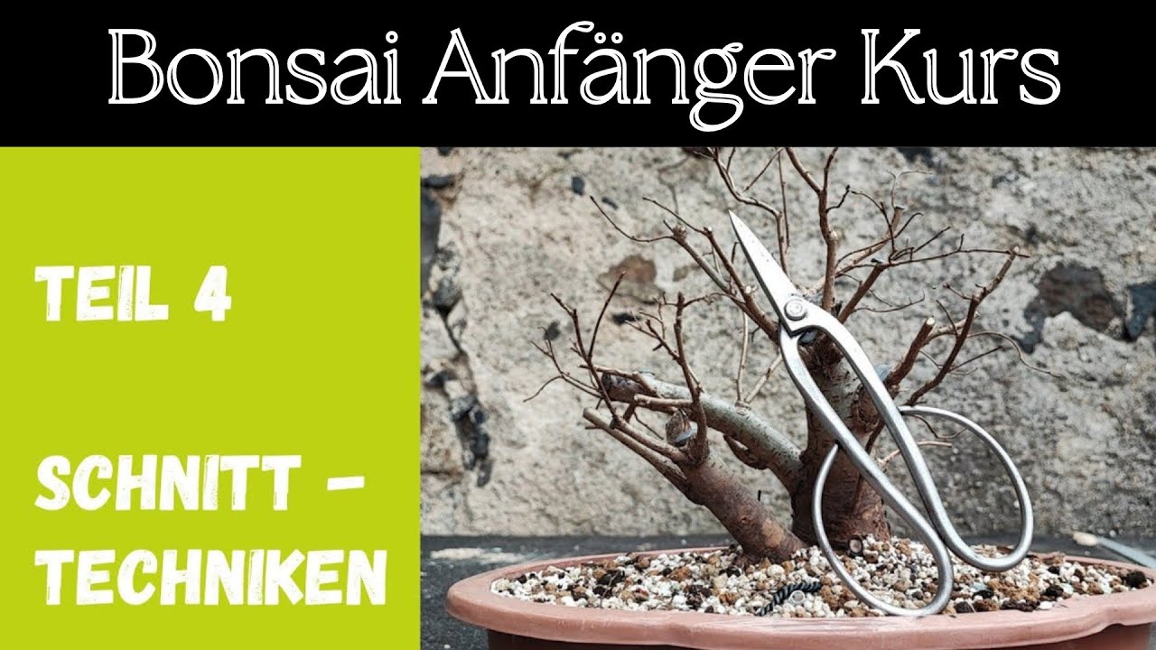 Bonsai Schnitttechniken