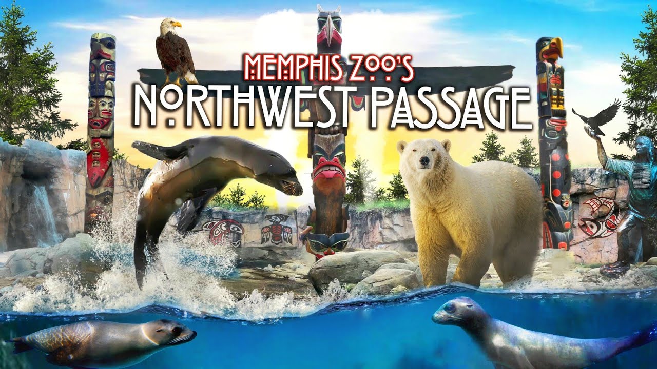 Zoo Tours: Northwest Passage | Memphis Zoo