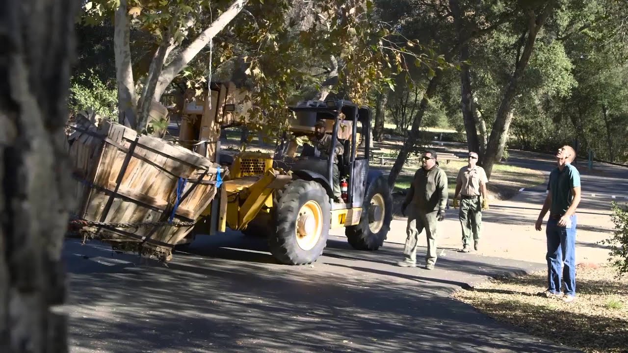 Out with the Oak and in with the New at County Parks