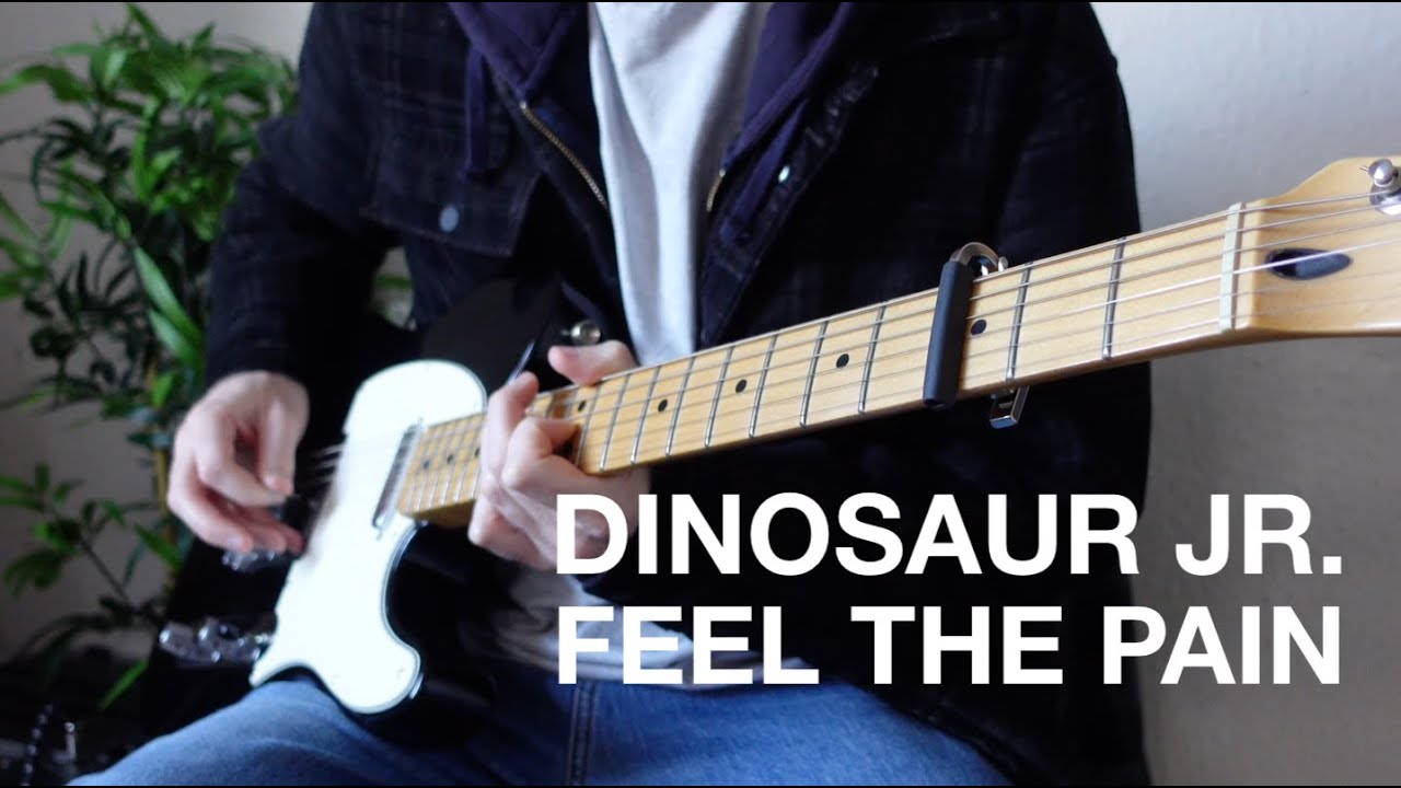 Dinosaur Jr. - Feel The Pain (Guitar Tutorial and tabs)