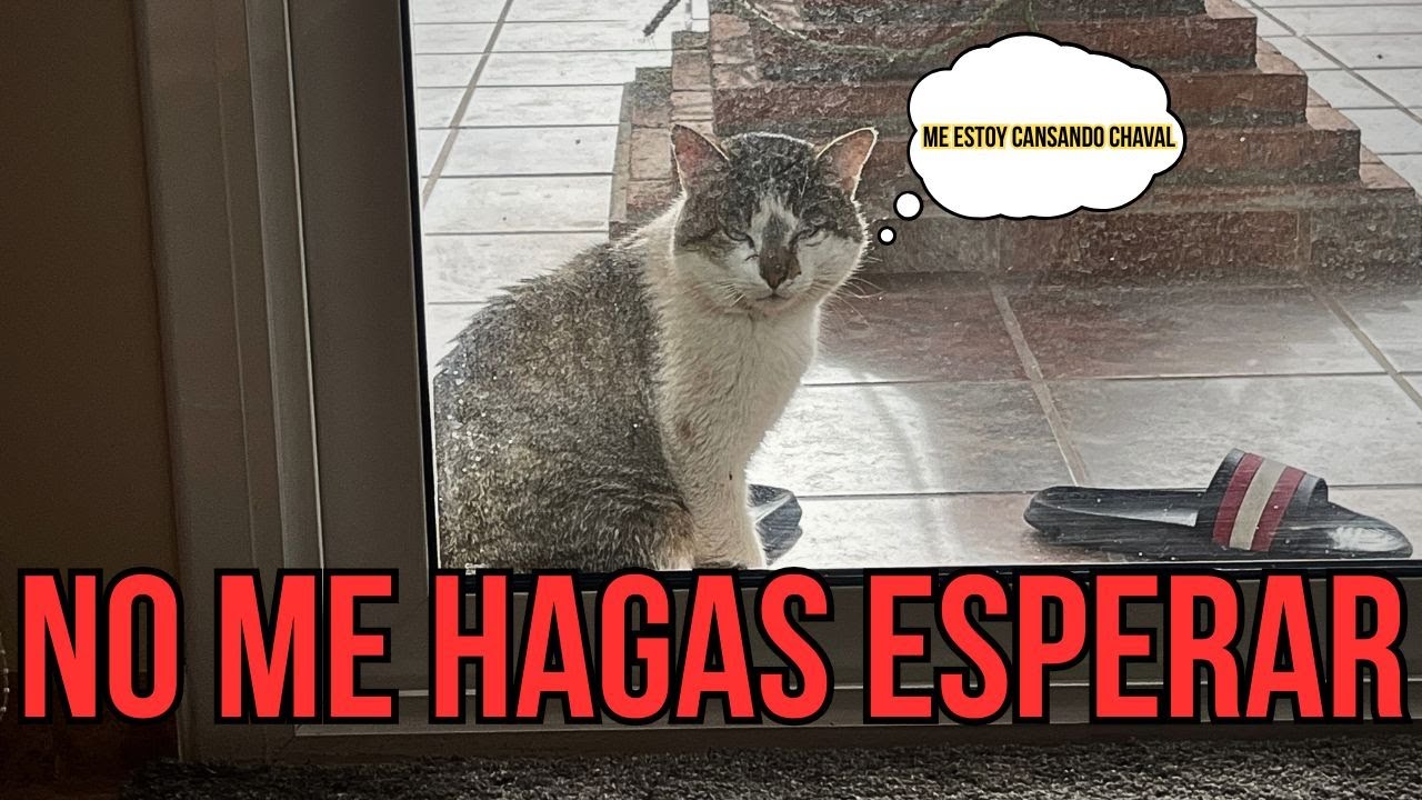 Volvió a la misma hora… y ya me estaba esperando | DÚO