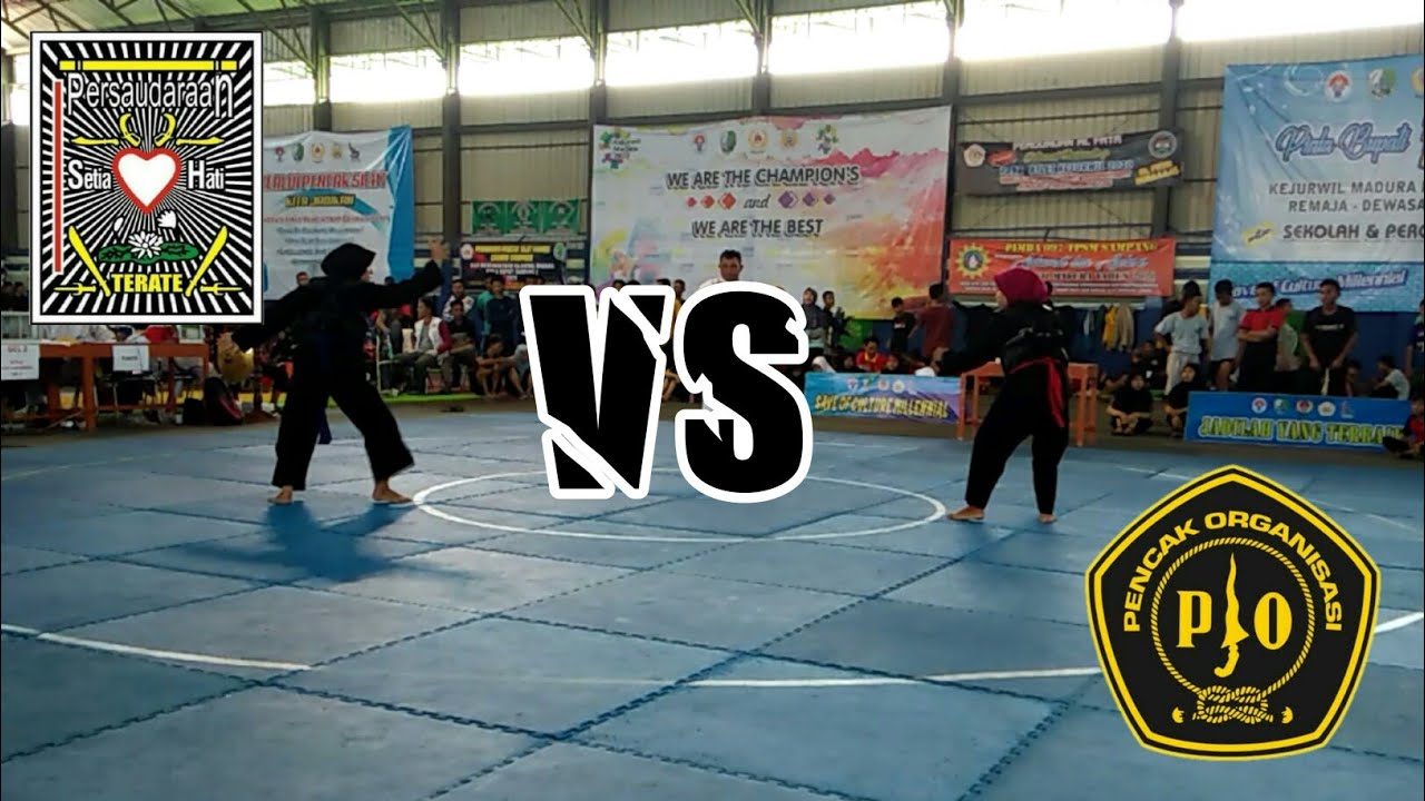Srikandi PSHT vs PO | Kejurwil Pencak Silat se-MADURA