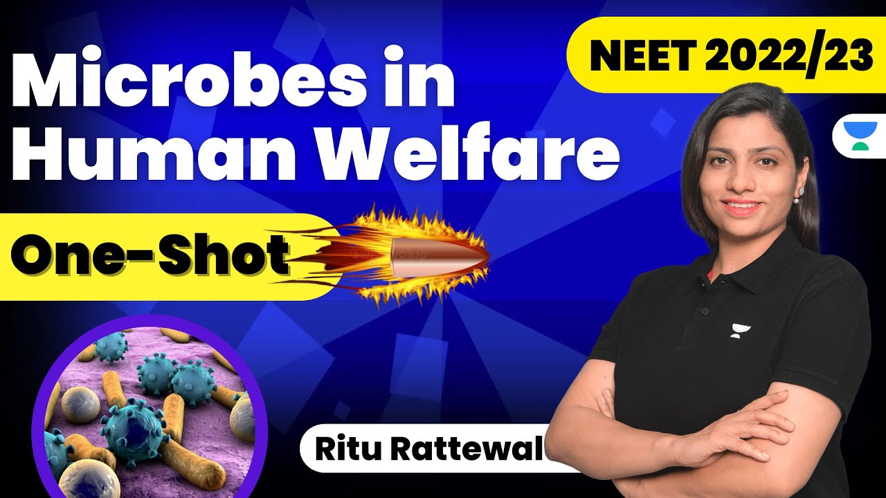 Phoenix 2.0: Biology Most Important Video for NEET 2025 | Udaan