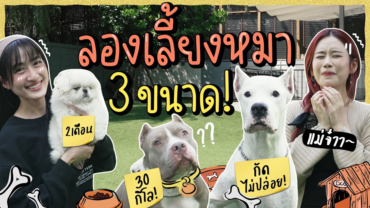 ใครว่าขนาดน้องหมาไม่สำคัญ ฟาง-อายเถียงขาดใจ!