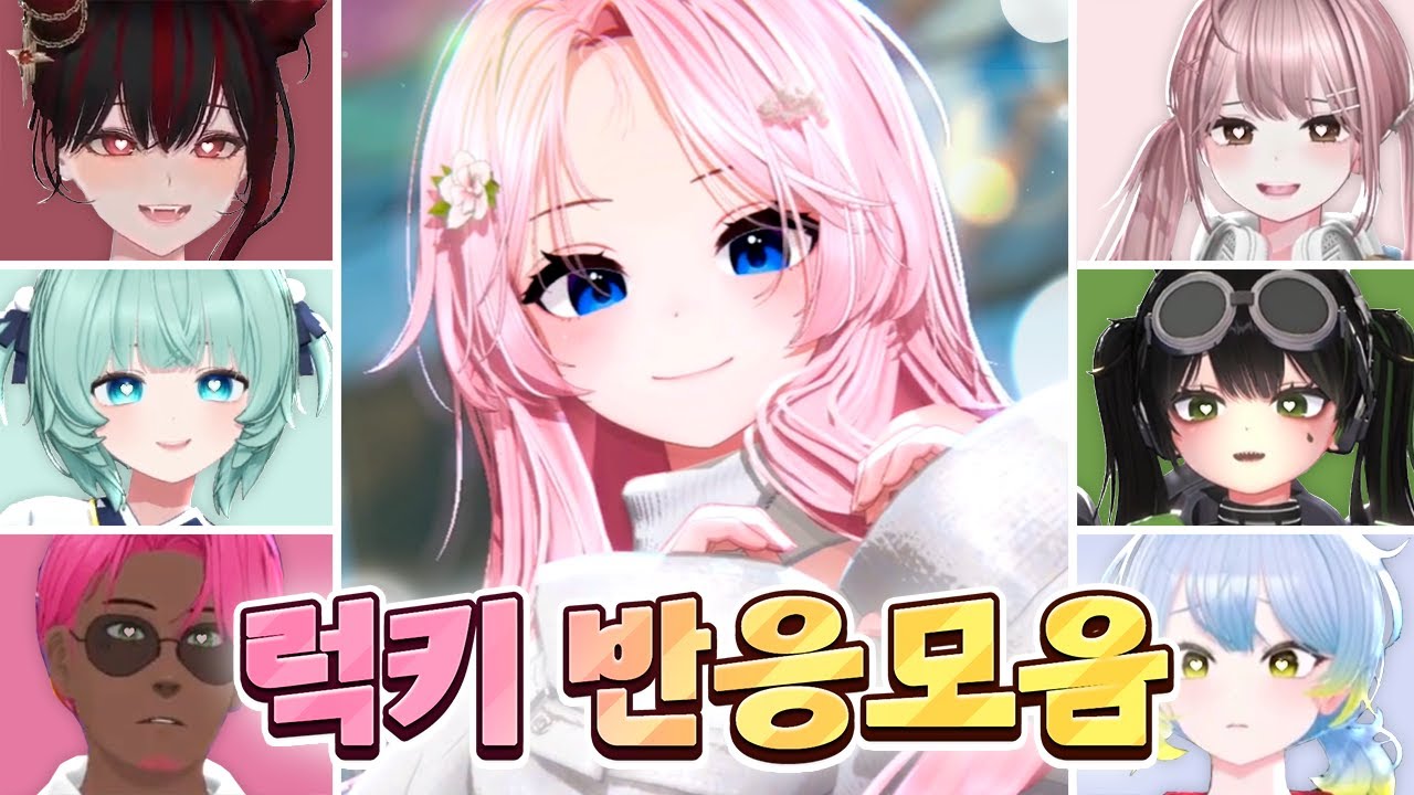 럭키 스트리머 반응 모음