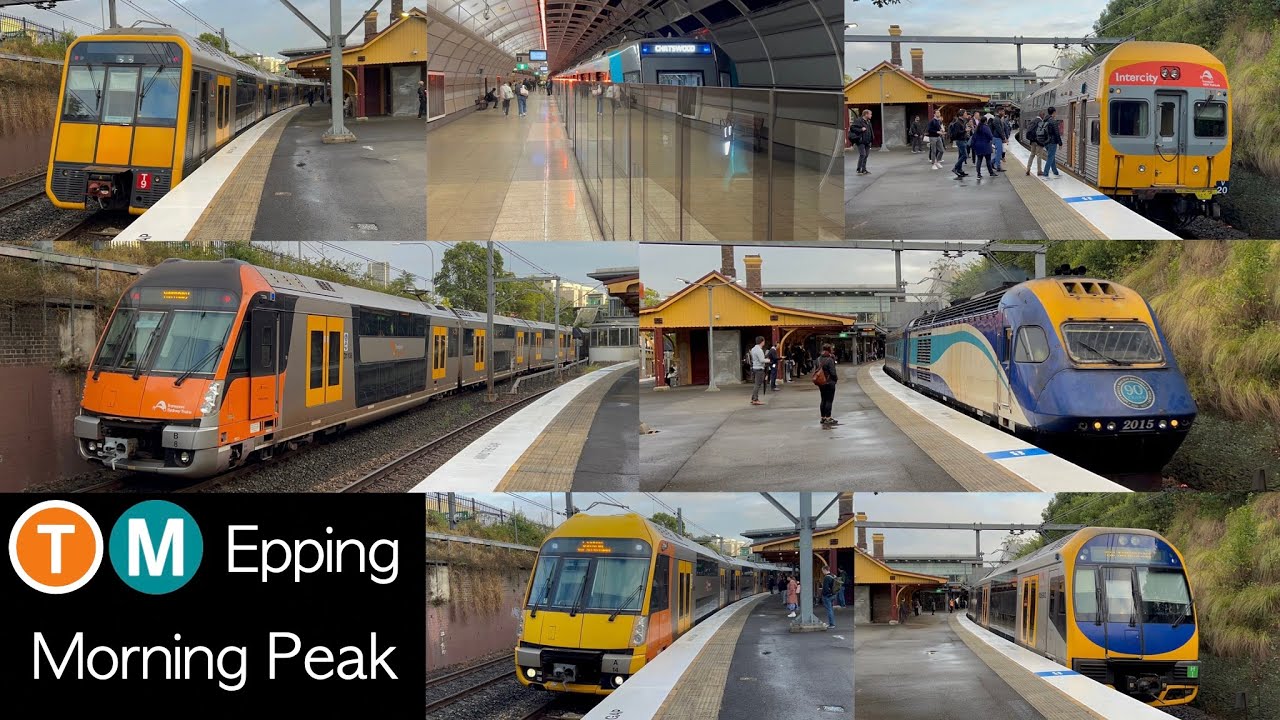 Transport for Sydney Vlog 695: Epping Part 4 - Morning Peak Trains