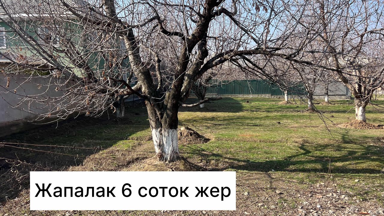 Рекламага чыгып 1-саатта сатылды Ош турак жай
