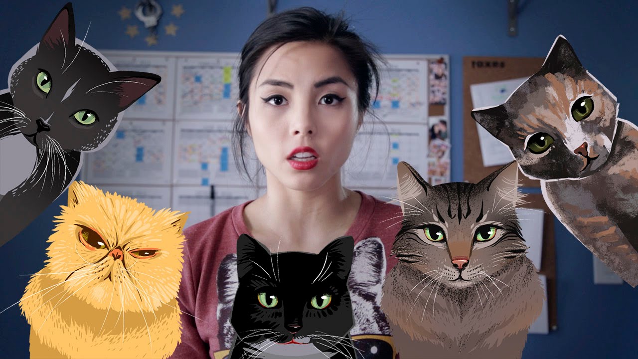 Am I a crazy cat lady?