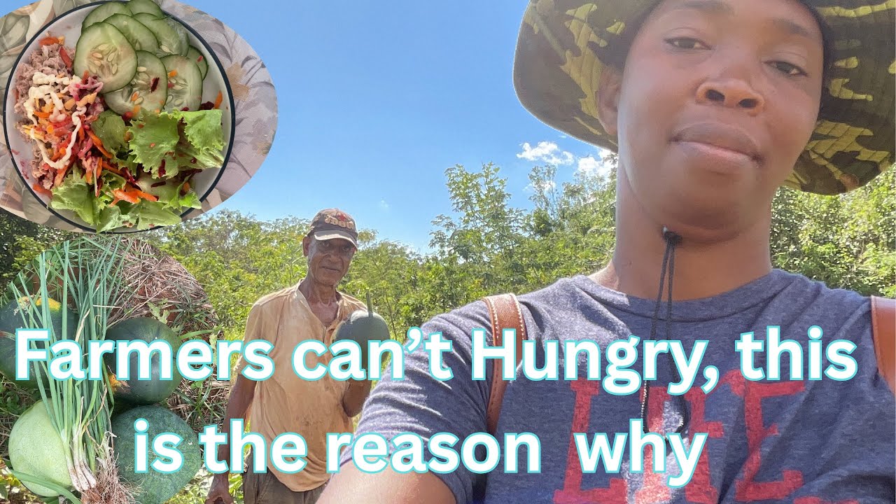 This Jamaican Male Farmer is doing well in farming 