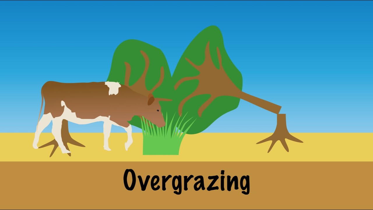 Деградация почвы