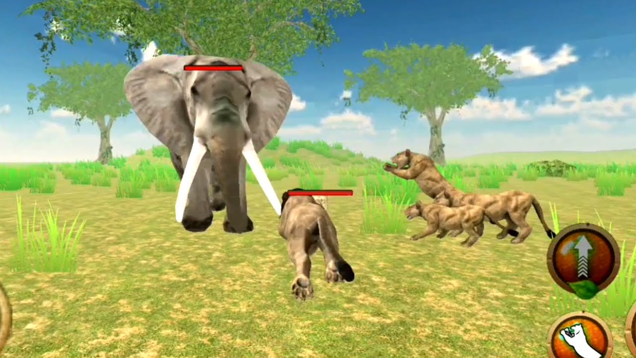 Lion Family Simulator - Angry Lion Vs Elephant | Lion The King of Jungle Revenge - Android GamePlay