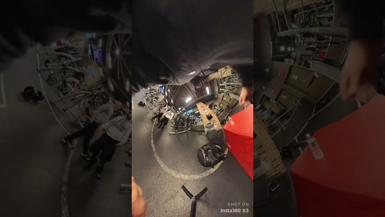 The DEN FERN LOU WORKOUT SHOW