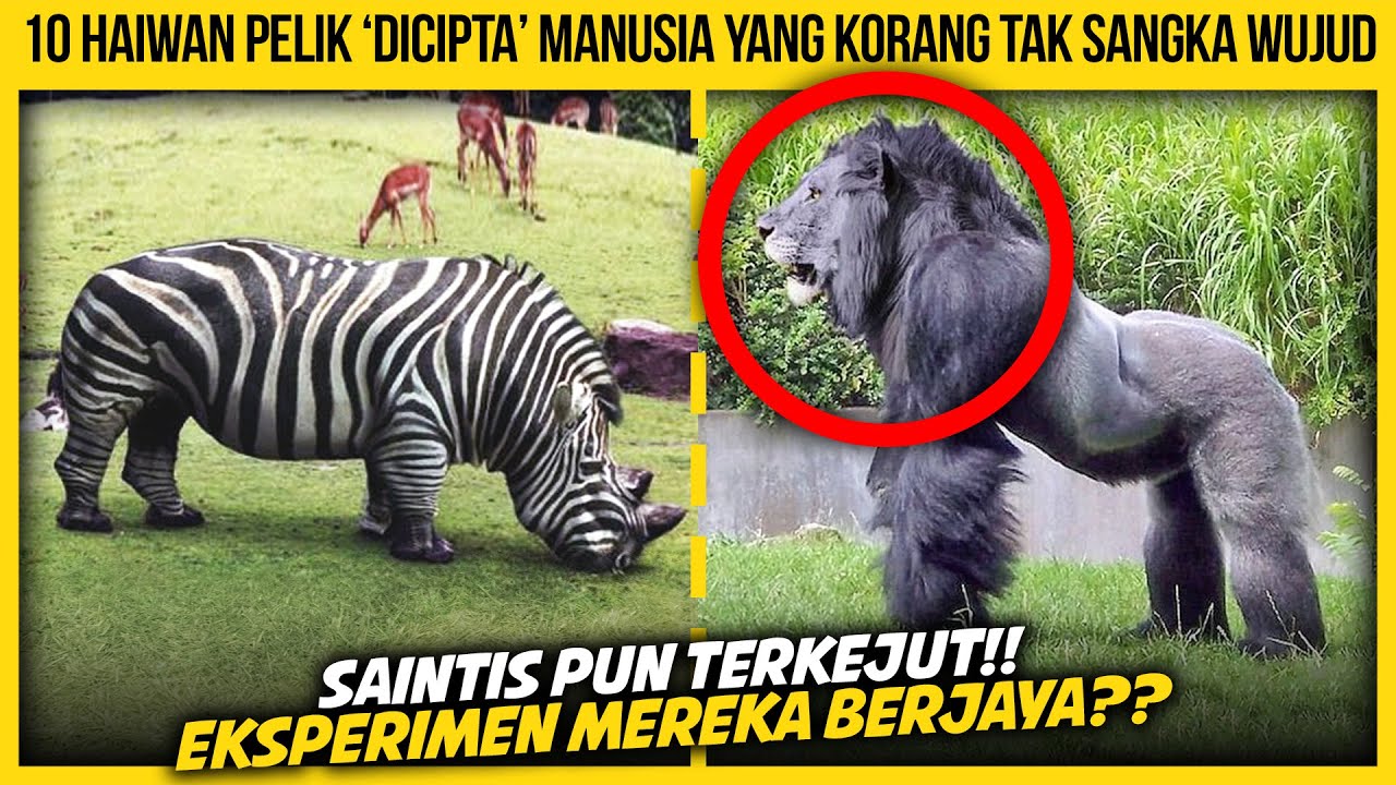 10 HAIWAN PELIK DICIPTA OLEH MANUSIA YANG RAMAI TAK TAHU