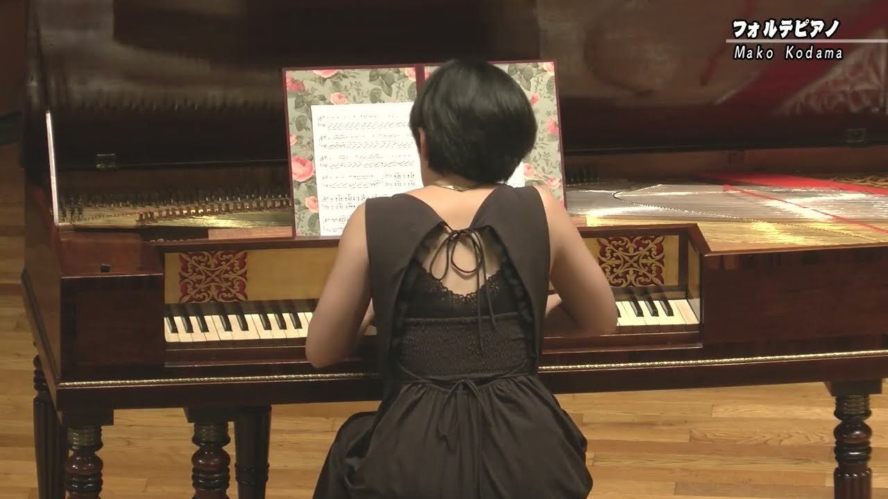 Franz Schubert – Moment musical No.2 in A-flat major, D.780 (Fortepiano)