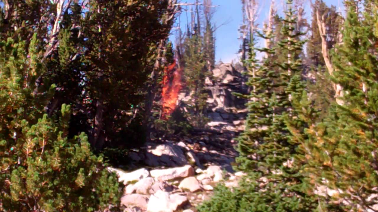Wildfire on the Wild Gift trek1
