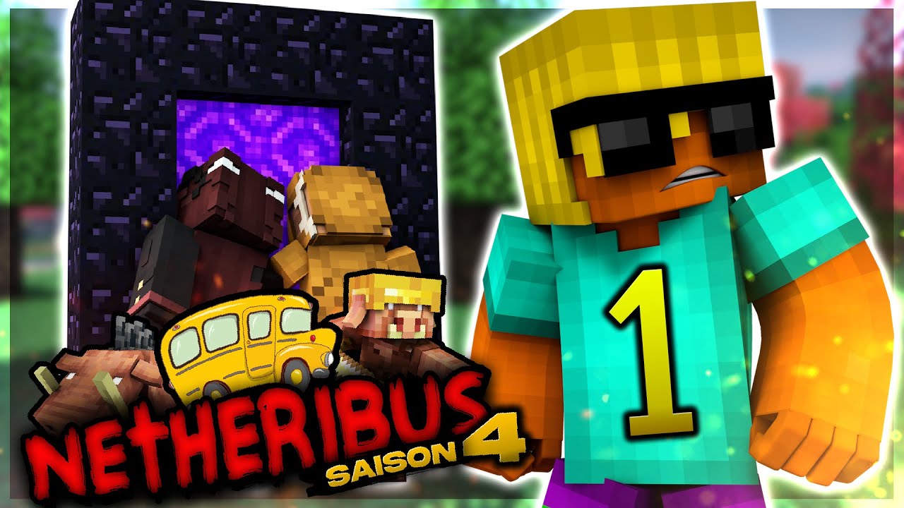 MA TEAM EST FOLLE (Netheribus S4 #1)
