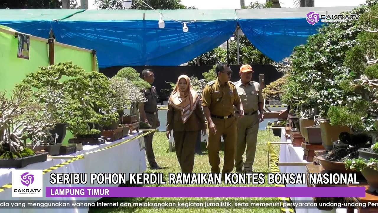Seribu Pohon Kerdil Ramaikan Kontes Bonsai Nasional
