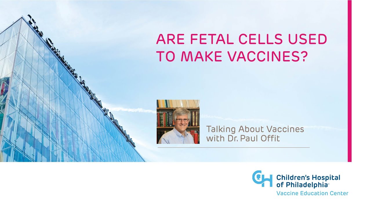 Are Fetal Cells Used to Make Vaccines?