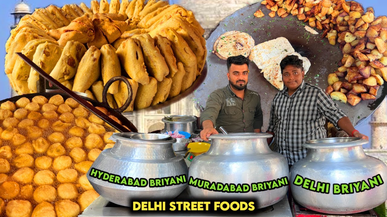 Delhi Street Foods|டெல்லி தெருவோர உணவுகள்|Delhi Food Vlog|Street Foods|Village Food Safari|Suppu