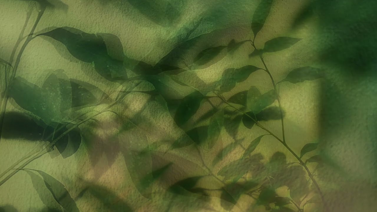 MaMan - Echoes of Home (Full Album)