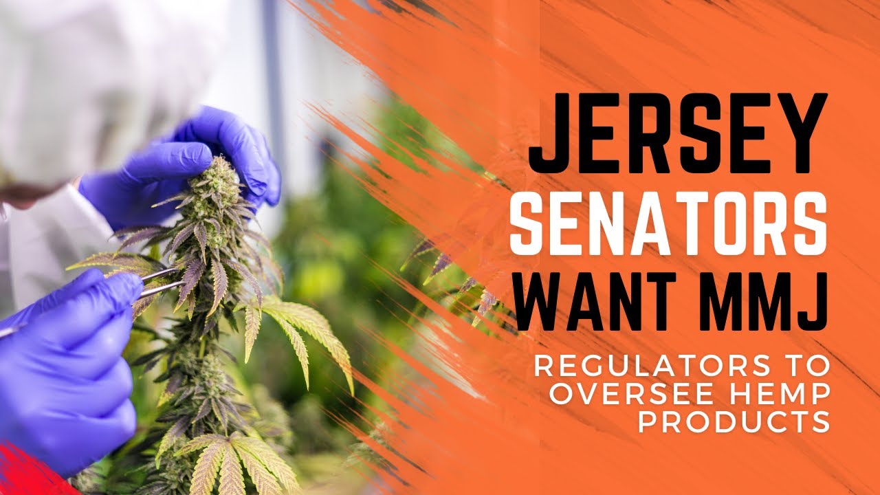 NJ Senators Approve Bill Directing Marijuana Regulators To Oversee Intoxicating Hemp Products