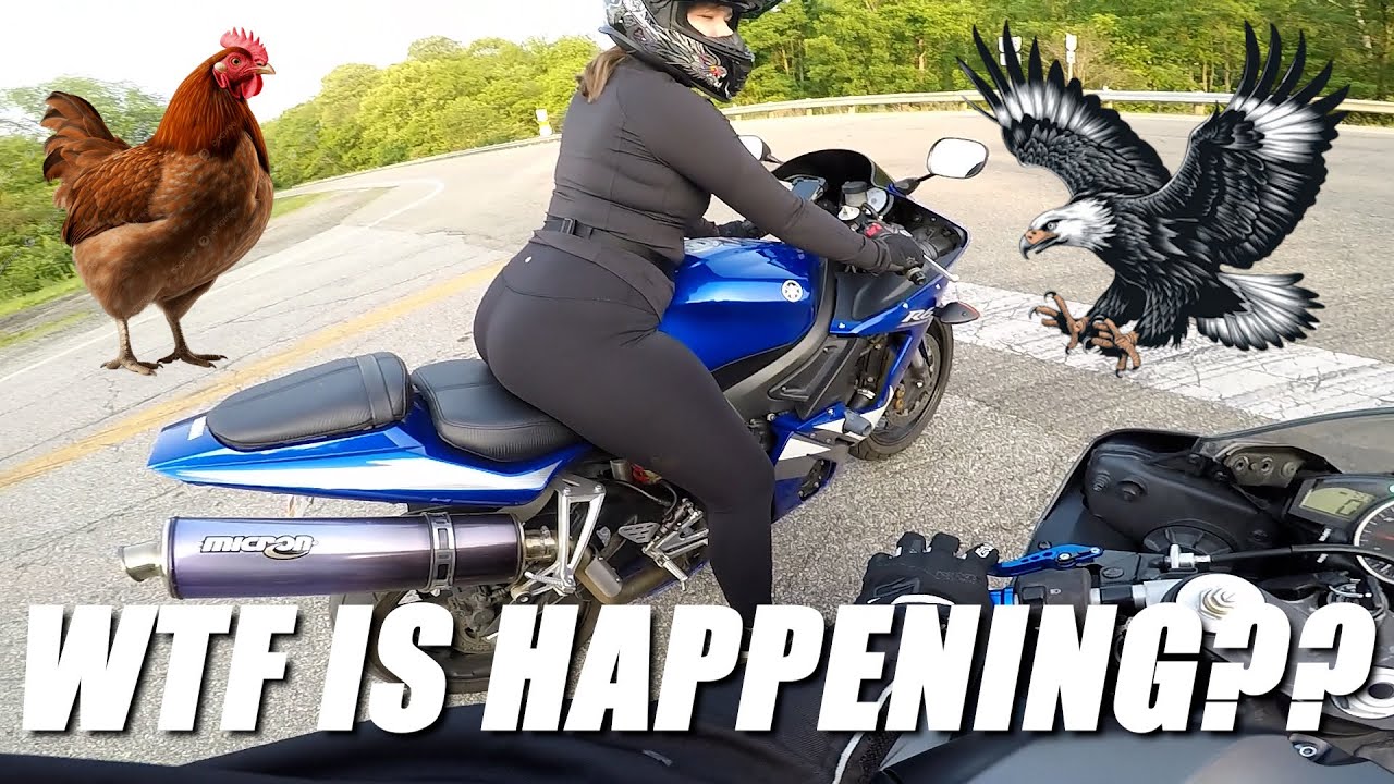 TWO R6'S vs. BACK ROADS. Attacked by Chickens and a Bird while LOW ON FUEL!!