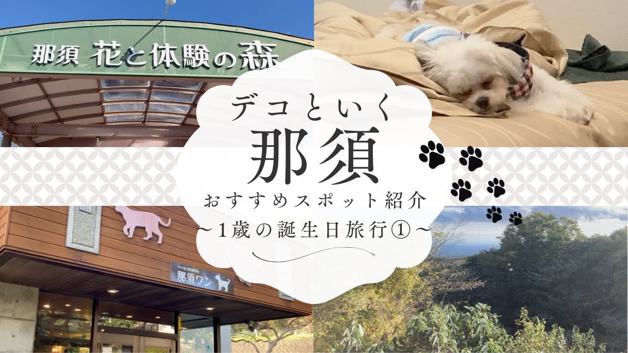 マルチワ　デコ物語　デコ誕生日　那須旅行　那須のおすすめスポット紹介①