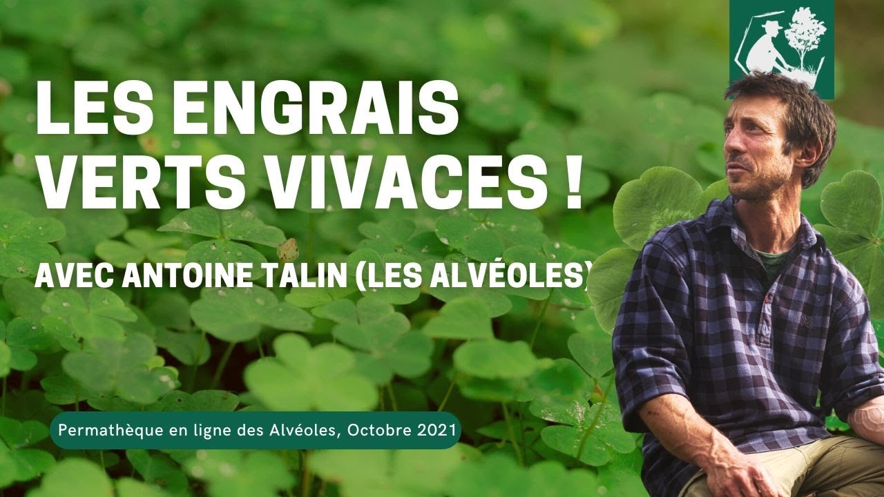 Les engrais verts vivaces avec Antoine Talin