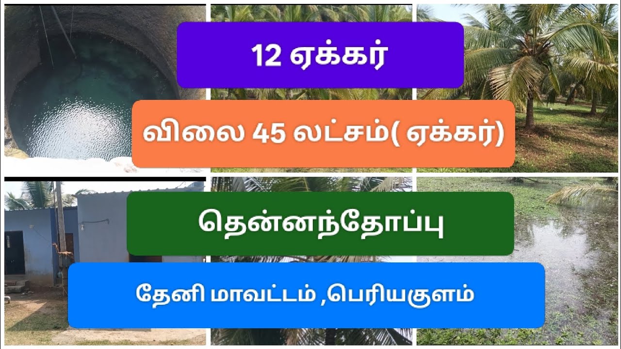 9944579660/தென்னந்தோப்பு / 12 ஏக்கர்/ விலை 45 லட்சம்( ஏக்கர்)/ தேனி மாவட்டம், பெரியகுளம்