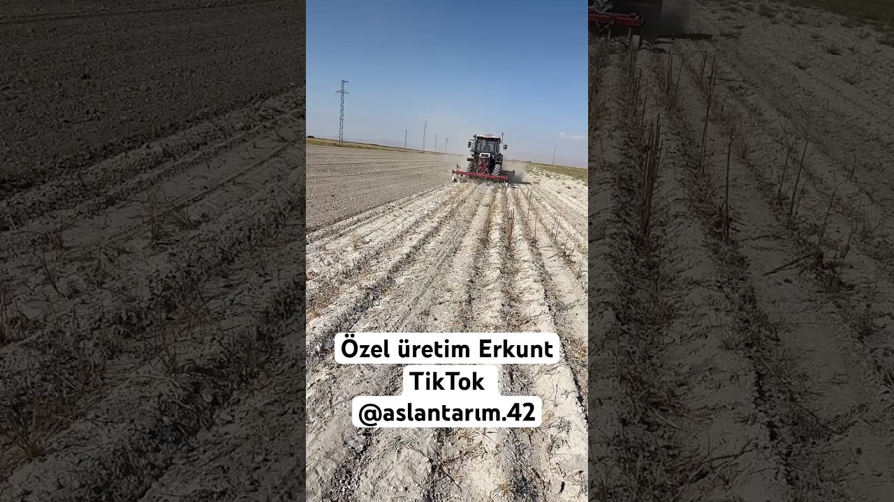 &Ouml;zel &uuml;retim Erkunt hasret 125 crdi limidet