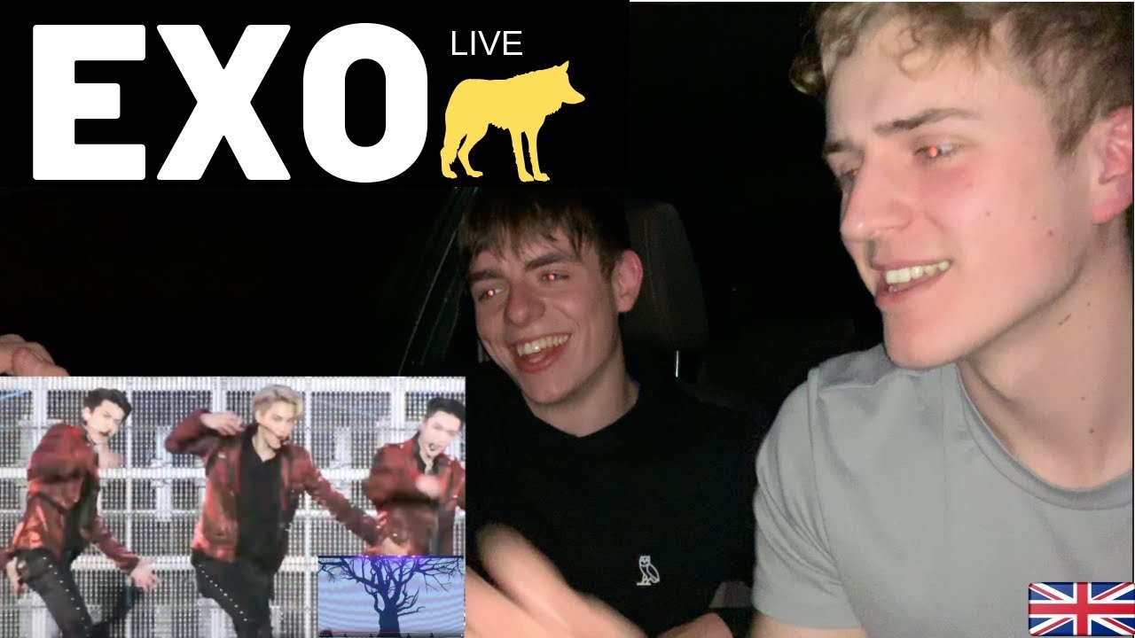 Next Level... | EXO - WOLF Live Japan Exo'rdium | GILLTYYY REACTION