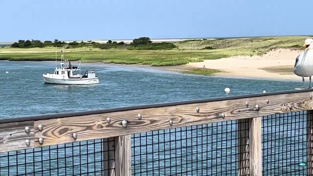 Chatham Fishing pier, Chatham, MA - July 26, 2023
