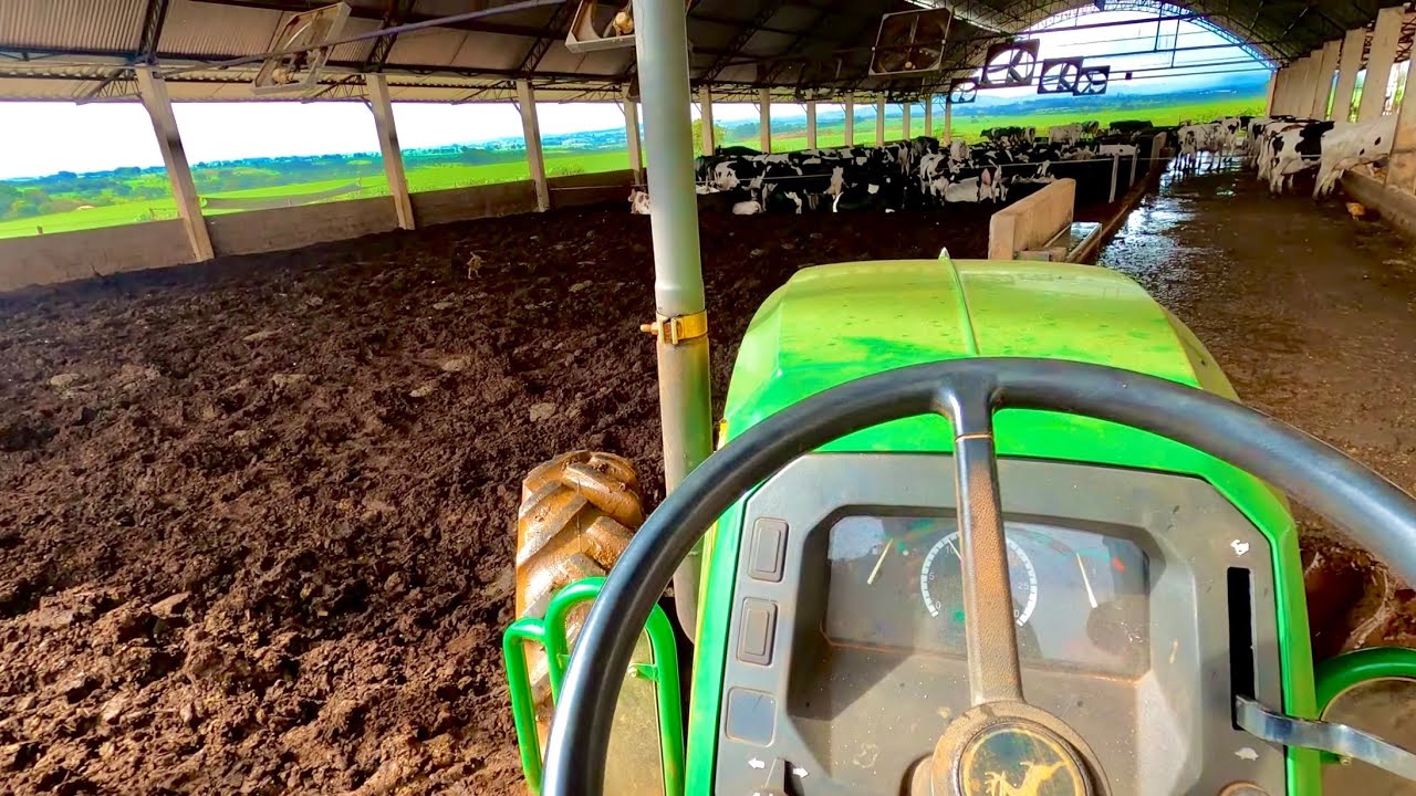 REPOSIÇÃO DE CAMA DO COMPOST BARN! A cama que era 28 reias o m3 está bem mais cara!