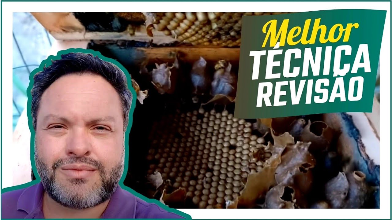 A MELHOR TÉCNICA para REVISAR CAIXAS de URUÇÚ! (Você precisa APRENDER)