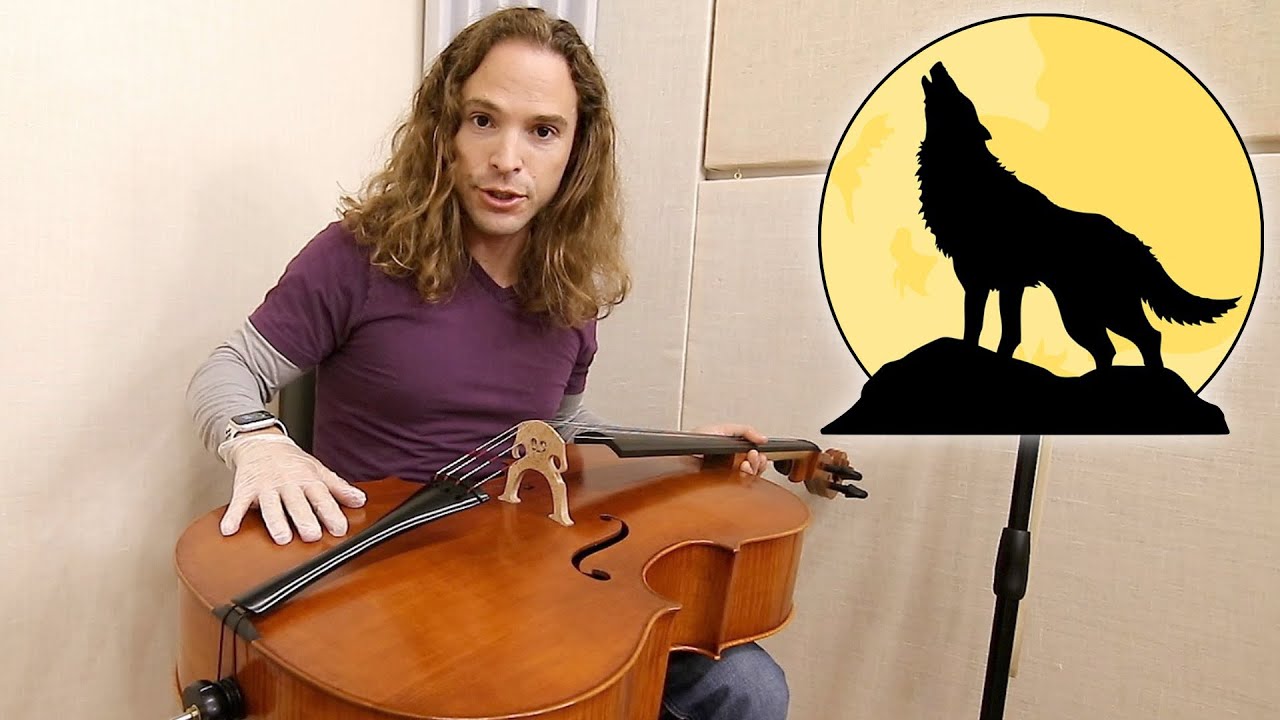 Wolf Tones on Cello Part 2 | Online Cello Lessons