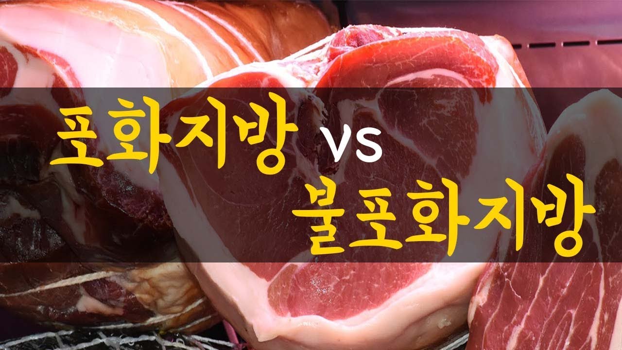 포화지방 vs 불포화지방? 지방에 관한 모든 것.