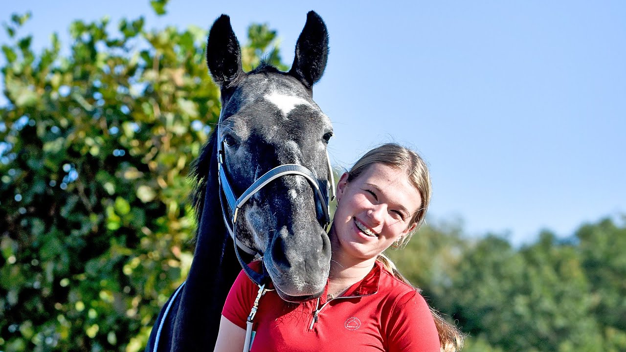 Tessa's zoektocht naar een nieuw paard Cerrito DV Z