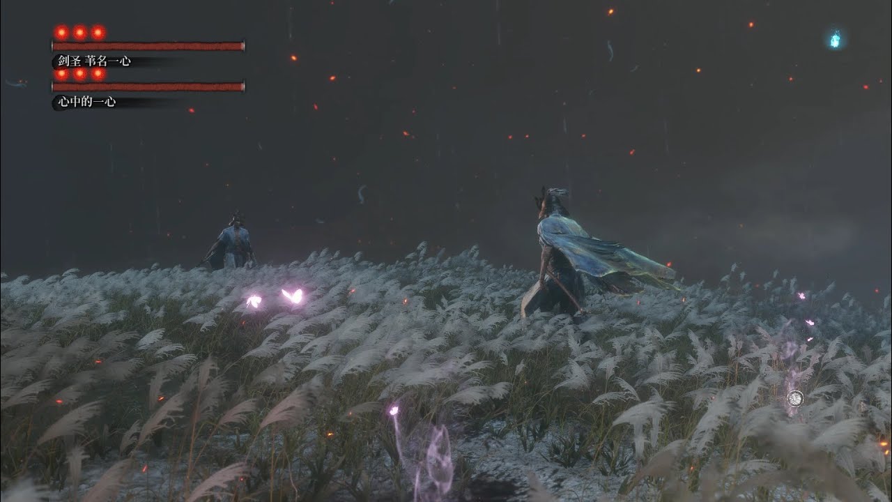 inner isshin VS sword saint isshin
