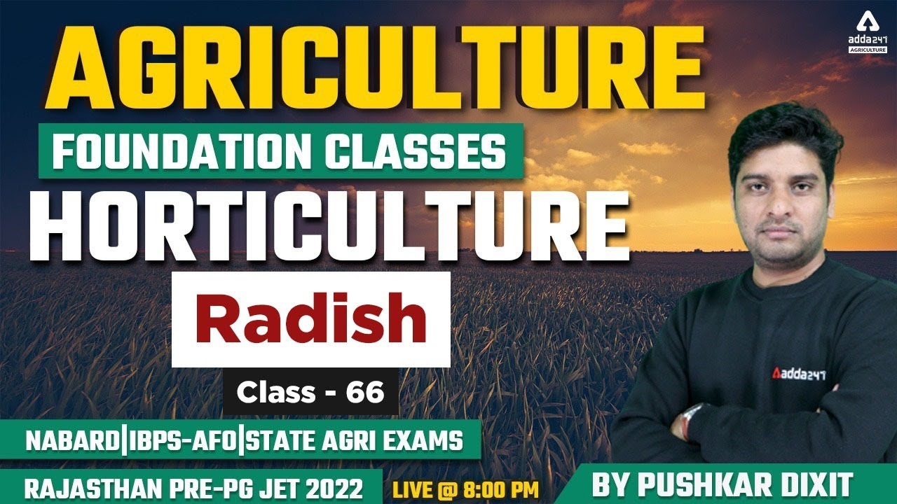 Agriculture Foundation | Horticulture #66 | Radish | Rajasthan Pre-PG JET 2022 | NABARD | IBPS-AFO |