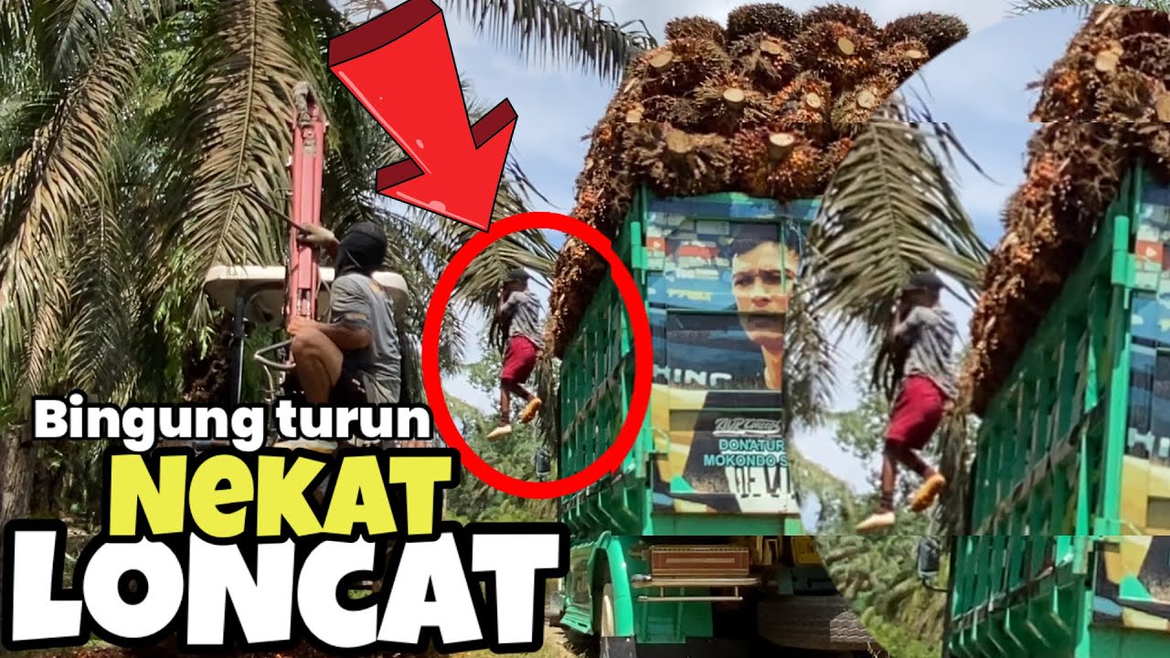 Bingung turun..!! Nekat loncat dari atas