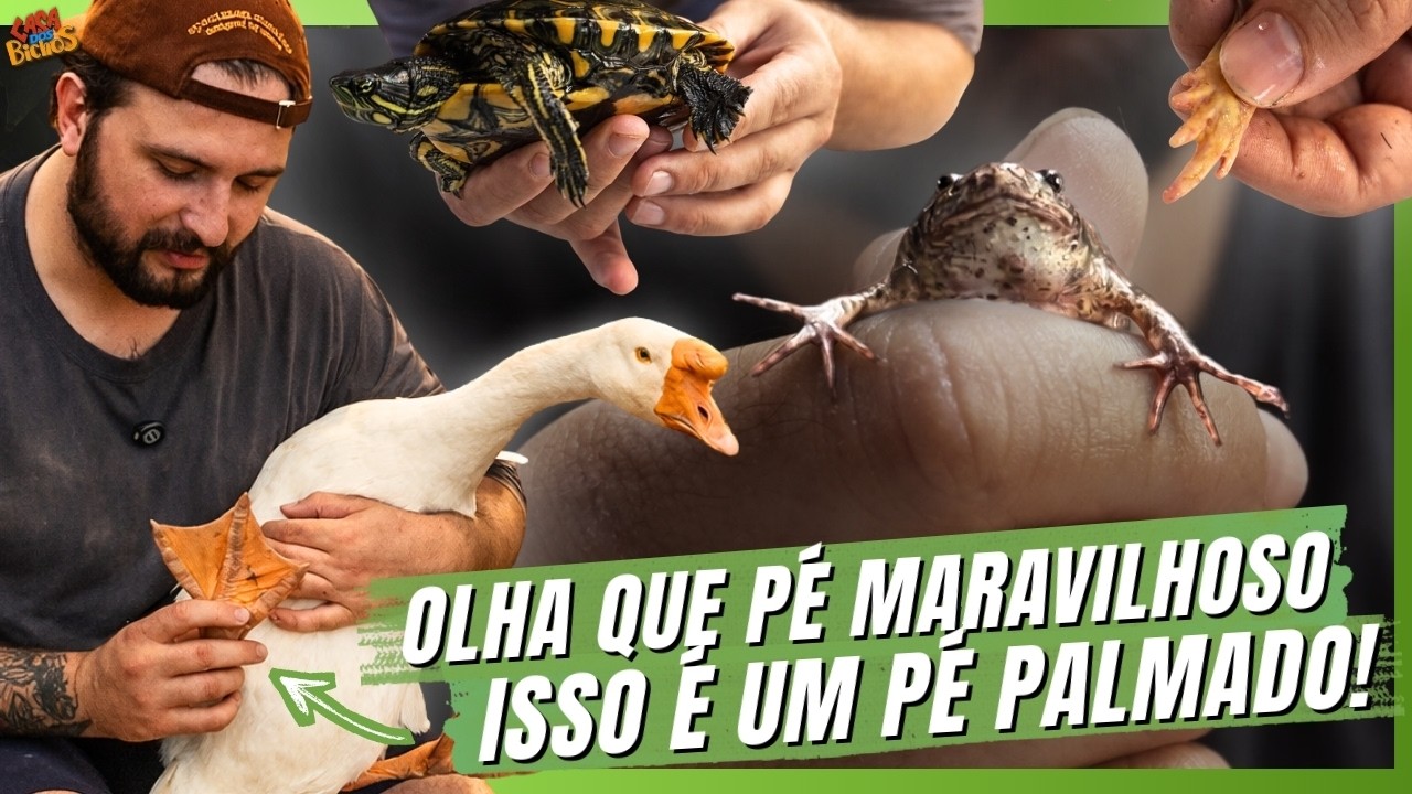 OLHA SÓ ESSES PÉS PALMADOS! | A CASA DOS BICHOS