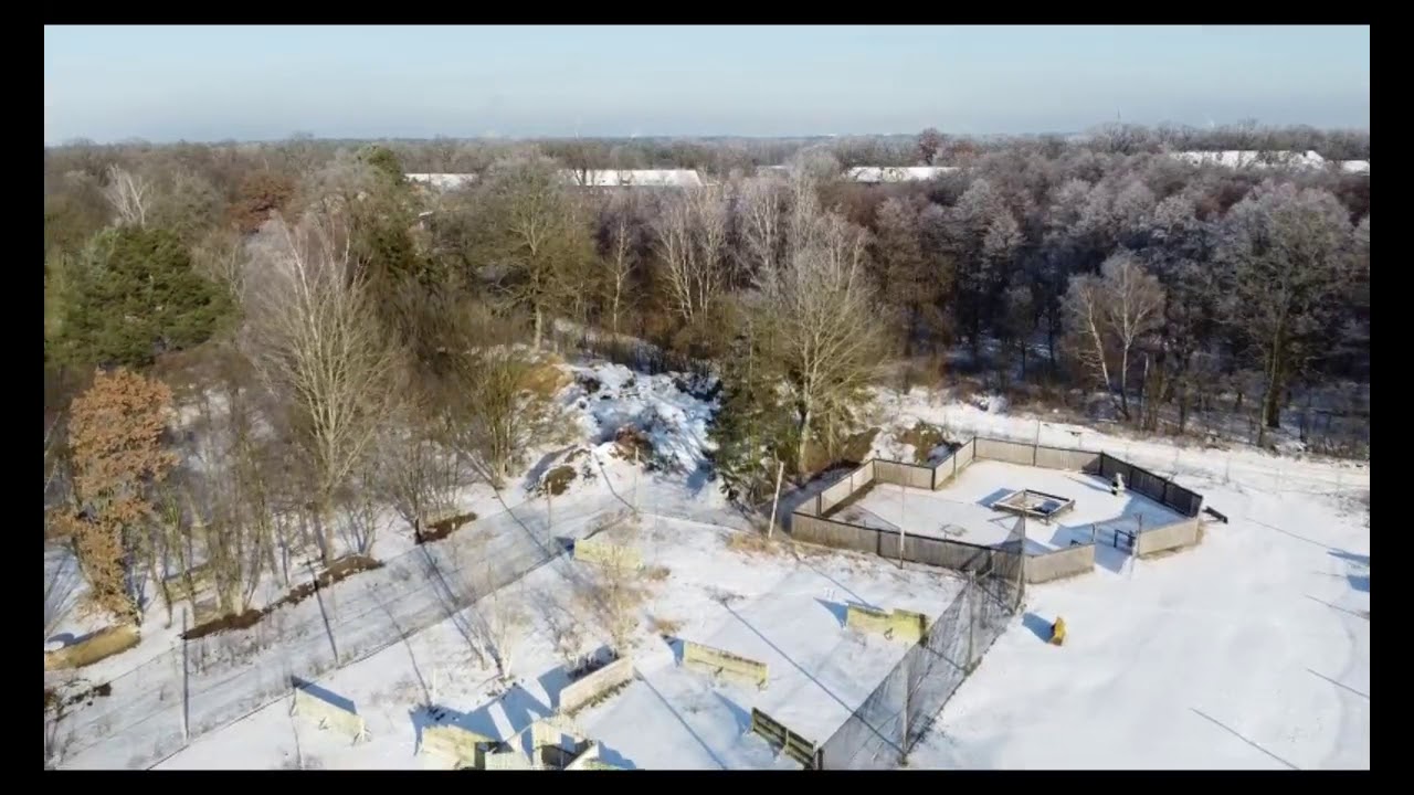 Paintball Arena Schönwalde