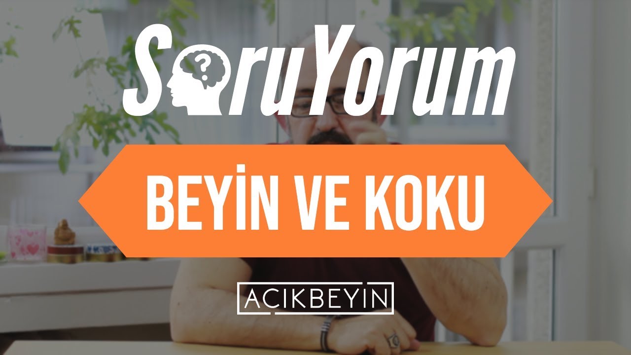 SoruYorum - Beyin ve Koku